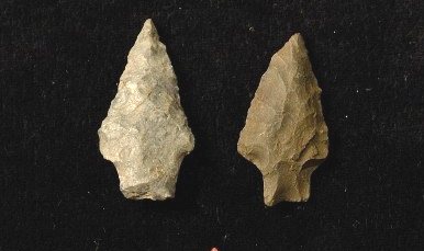 Examples of the Stanley Point flint spearpoints, as described in the book.