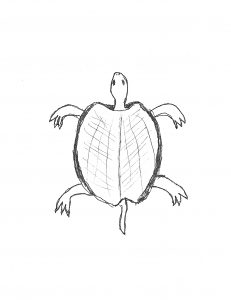 An image of a turtle, important to the Lenape, is used as a glyph in the book